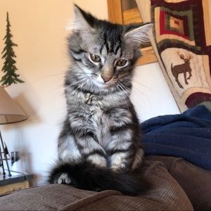 Meet your Posher, Anna